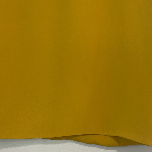 Aritzia | Babaton Golden Sleeveless Tank Top - Picture 3 of 6